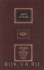 4523326.jpg