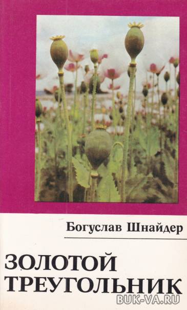 2880791.jpg 2880791.jpg