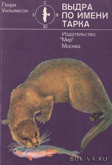 5141411.jpg 5141411.jpg