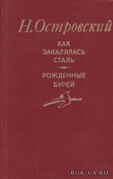 2465836.jpg 2465836.jpg