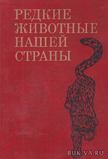 1913160.jpg 1913160.jpg