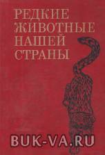 1913160.jpg