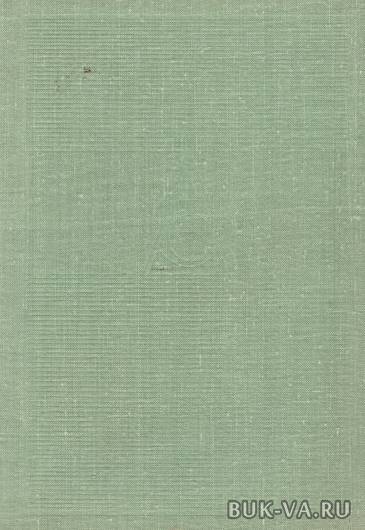 2616303.jpg