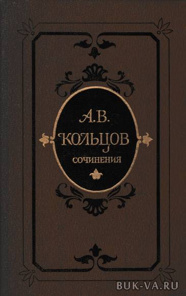 21504354.jpg