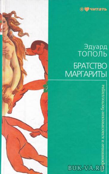 8243033.jpg