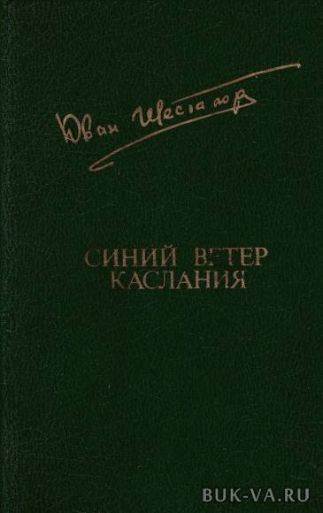4949851.jpg
