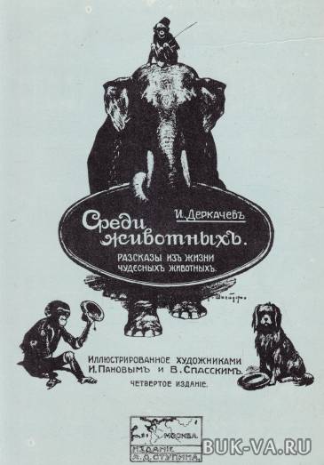 21434139.jpg 21434139.jpg