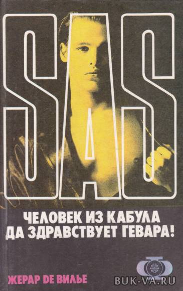 4304050.jpg