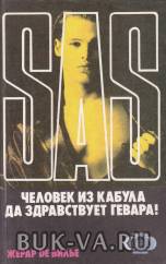 4304050.jpg