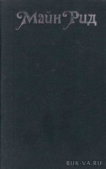 3005335.jpg 3005335.jpg