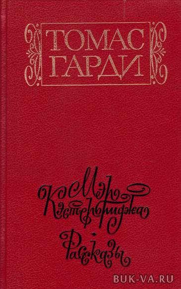 3979105.jpg 3979105.jpg