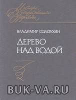 4628679.jpg