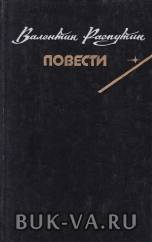 2509060.jpg