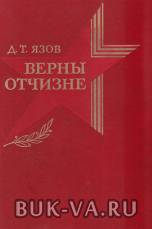 5017690.jpg