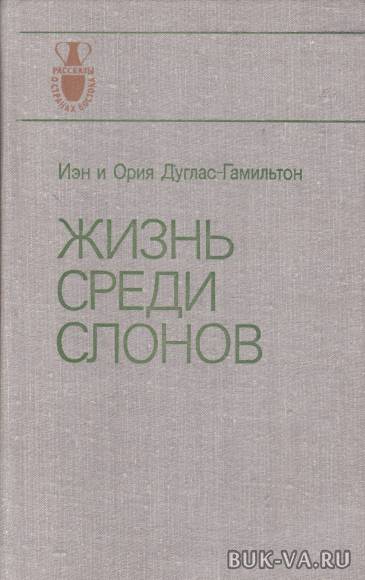 2470919.jpg
